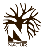 Natur in form